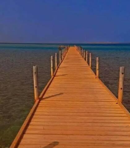 Fox Hurghada